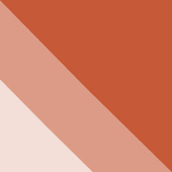 Cafe Studios Design - Portfolio - Colour Scheme 1 - EAS