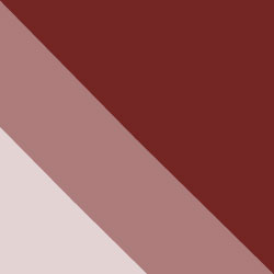 Cafe Studios Design - Portfolio - Colour Scheme 1 - Food Fare